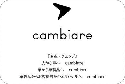 cambiareとは