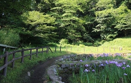 調査場所のひとつである片倉城跡公園