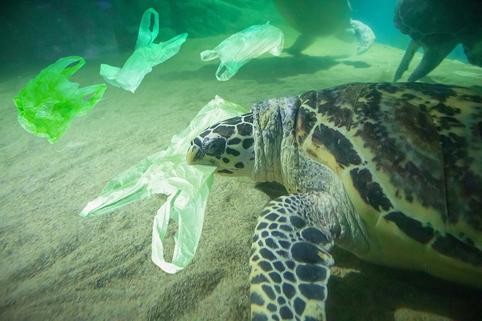 海洋プラスチック問題