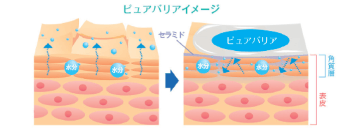 ピュアバリアで保湿＆保護