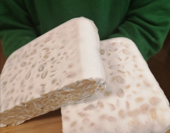 手作りしたテンペ