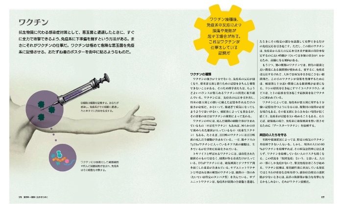 『とことん解説 人体と健康 ビジュアル 細菌のはたらきパーフェクトガイド』中面