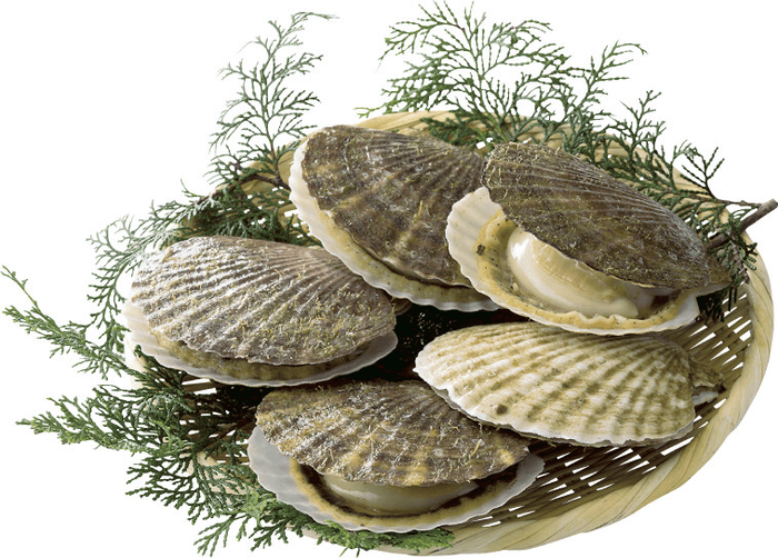 北海道産 ホタテ貝