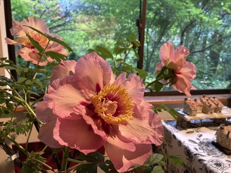 稀少なトリビュート30万円(税込) 2