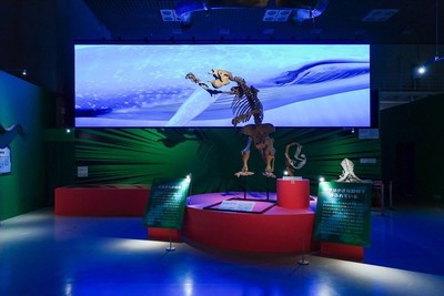 「いきもの超ワールド展」展示2