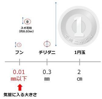 ダニの大きさ