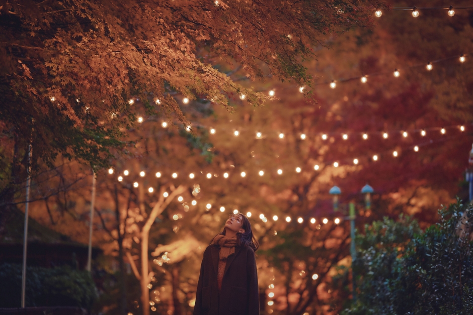 紅葉ライトアップとクリスマスイルミネーション(1)