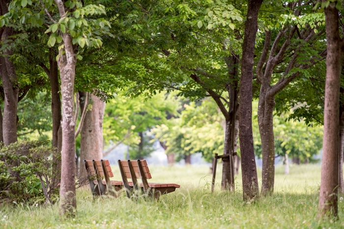 自然豊かな手賀沼公園