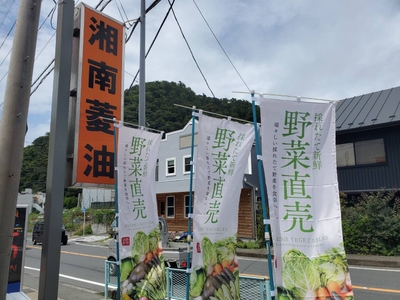 販売場所