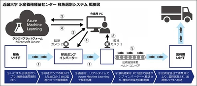 近畿大学水産研究所、養殖稚魚の選別をAIとIoTで効率化　クラウドとデジタル技術を活用して漁業の"働き方改革"を目指す