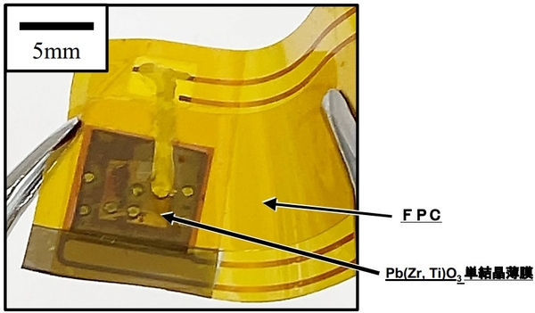 フレキシブルPb(Zr,Ti)O3単結晶薄膜/FPC