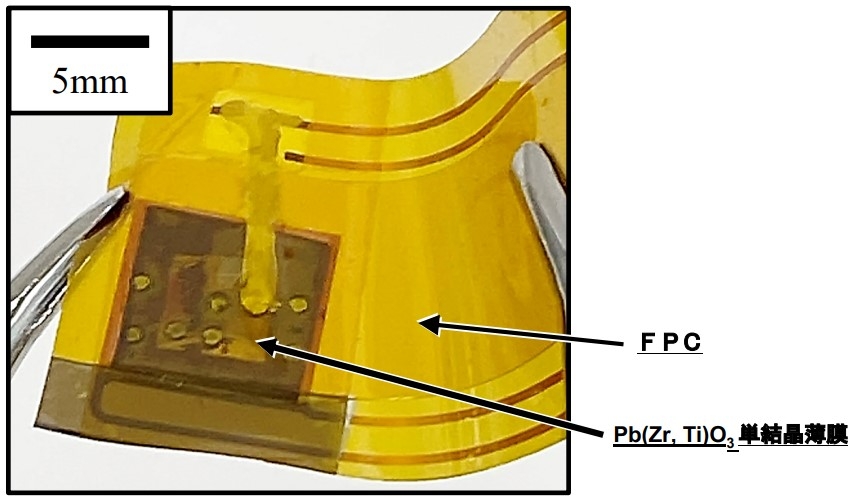 フレキシブルPb(Zr,Ti)O3単結晶薄膜/FPC