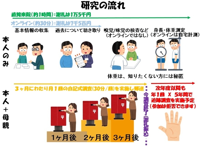 研究の流れ