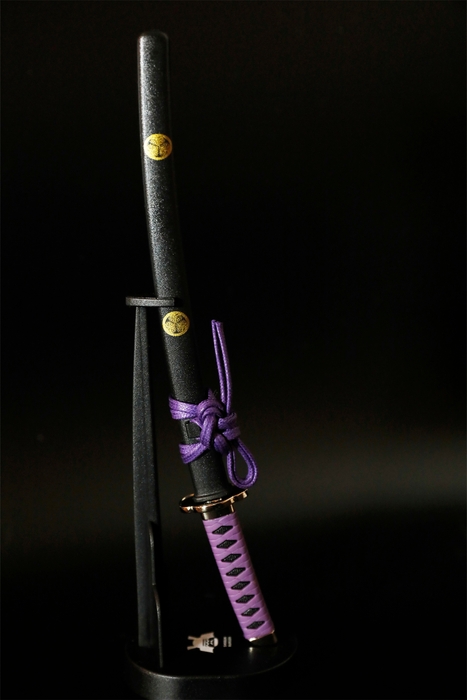 家康モデルは紫がアクセントカラー