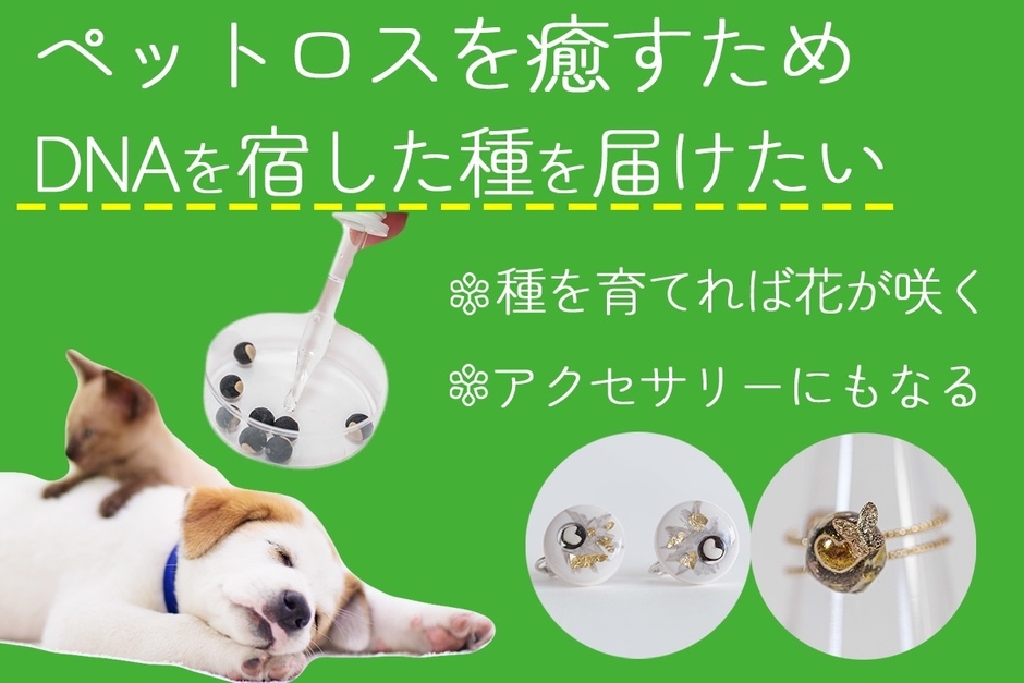 クラウドファンディング