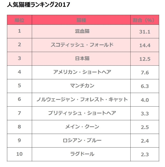 人気猫種ランキング