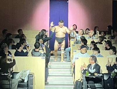 力士2