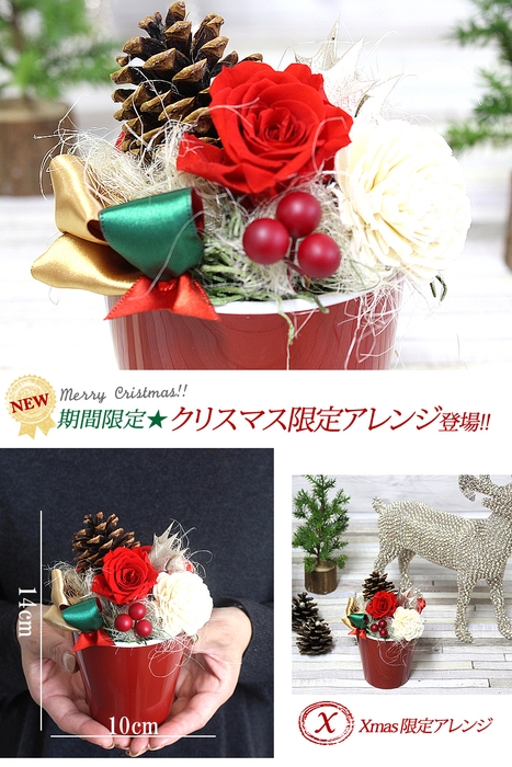 写真印刷無料2,999円 クリスマス限定アレンジプリザ