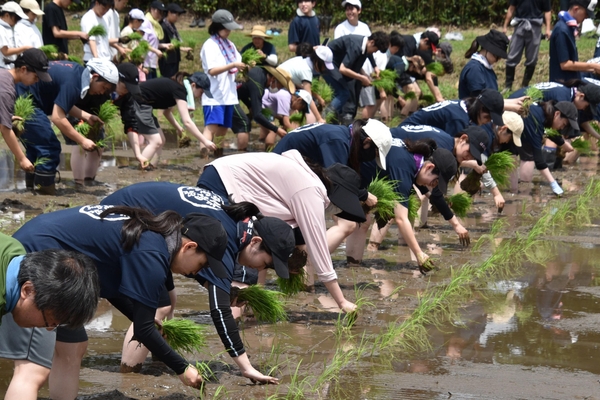 横一列に並んで作業