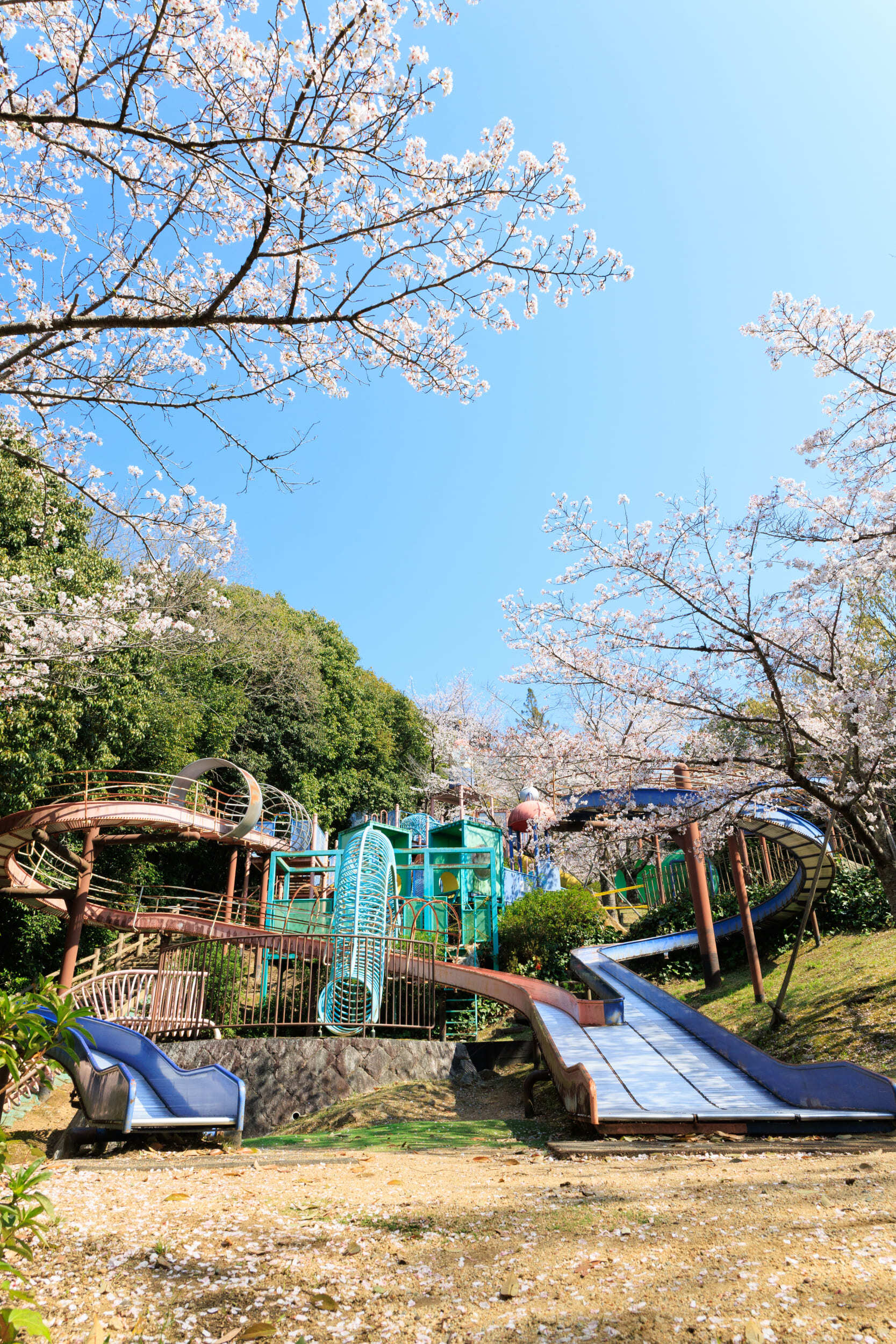 西宮市北部のスポット写真(4)