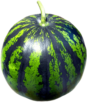 スイカ画像