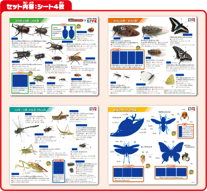 セット内容「学研の図鑑LIVE 昆虫」