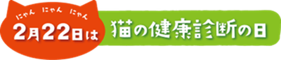 2月22日は猫の健康診断の日