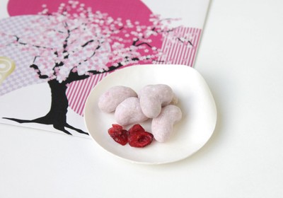 カシュー×Sakura