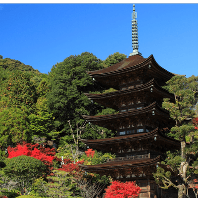 ポイント1　国宝瑠璃光寺五重塔(山口市)
