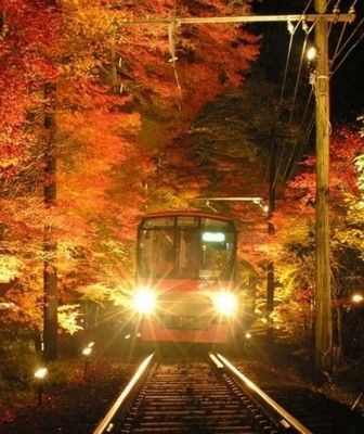 もみじのトンネル
