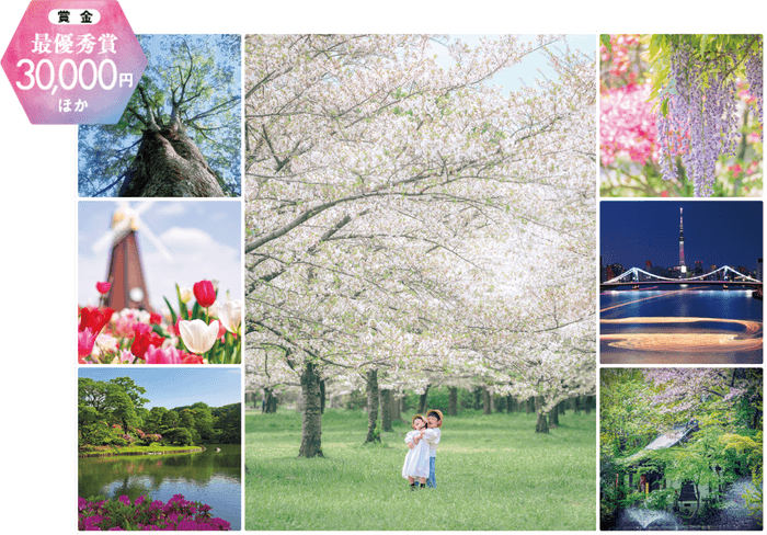 写真は過去の同フォトコンテスト入賞作品