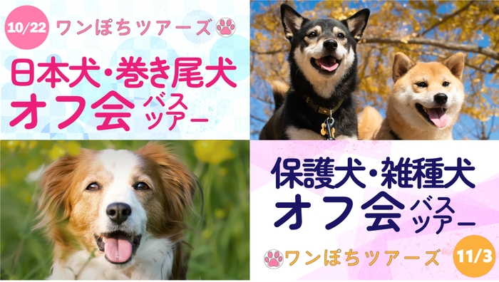 ワンぽちツアーズの犬種限定オフ会バスツアー