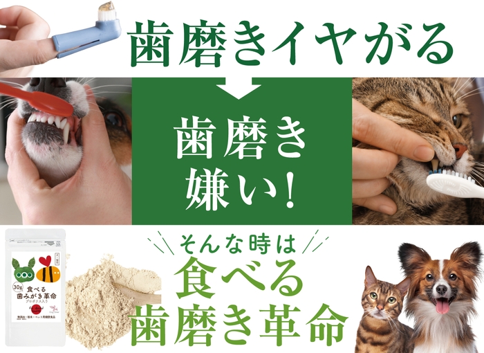 歯磨き嫌いでも大丈夫!『食べる歯磨き革命』