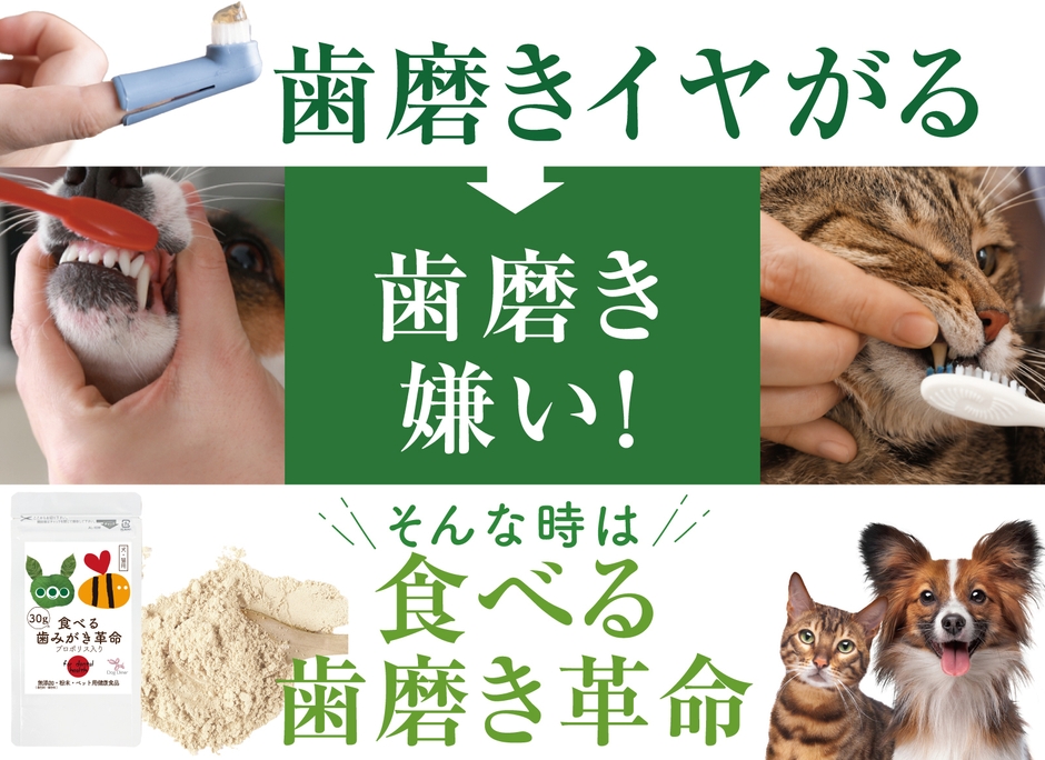 歯磨き嫌いでも大丈夫！『食べる歯磨き革命』