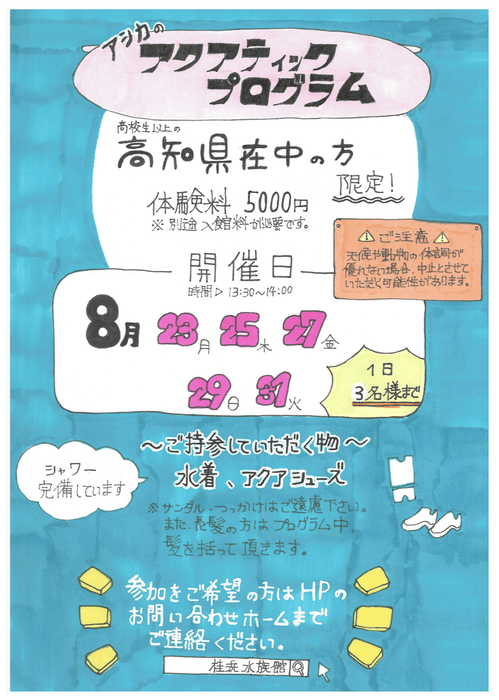 アシカとアクアティックプログラム_3