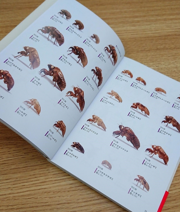 掲載ぬけがら一覧ページ