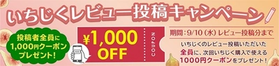 ＪＡタウンのショップ「博多うまかショップ」で 福岡のいちじくレビュー投稿キャンペーン実施中！ 