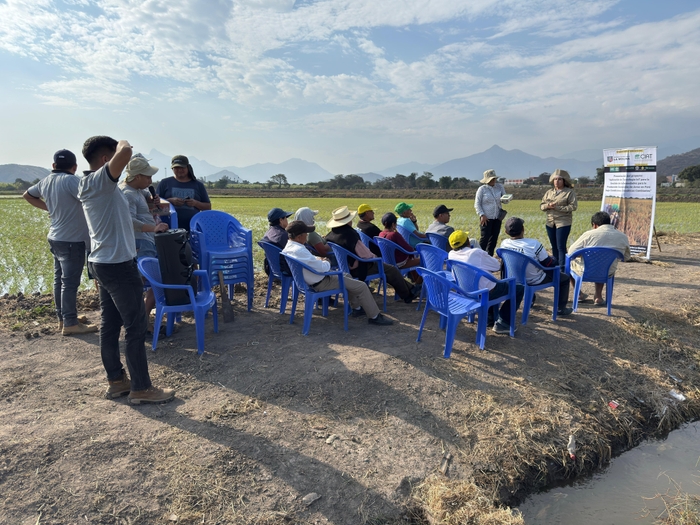 人材育成の取り組み：CIAT提供