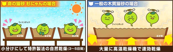 熱に弱いため人工的な高温乾燥で失われてしまう森林浴成分フィトンチッド