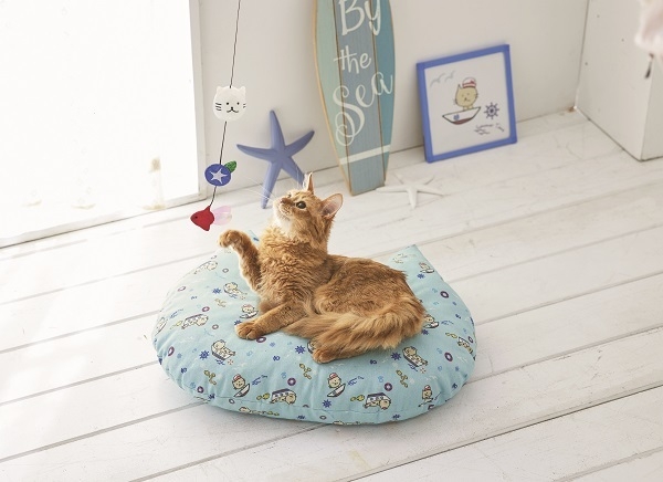 猫耳のかわいいクッション!飼い主さんにもおすすめ。