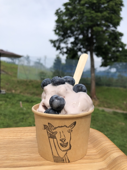 ジェラート(3)