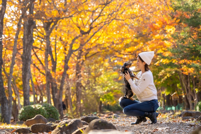 フォレストヒルズ那須 秋の敷地内