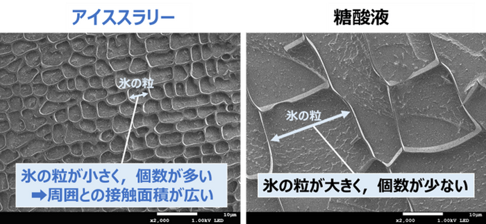 図3．アイススラリーと糖酸液の凍結構造の画像※5