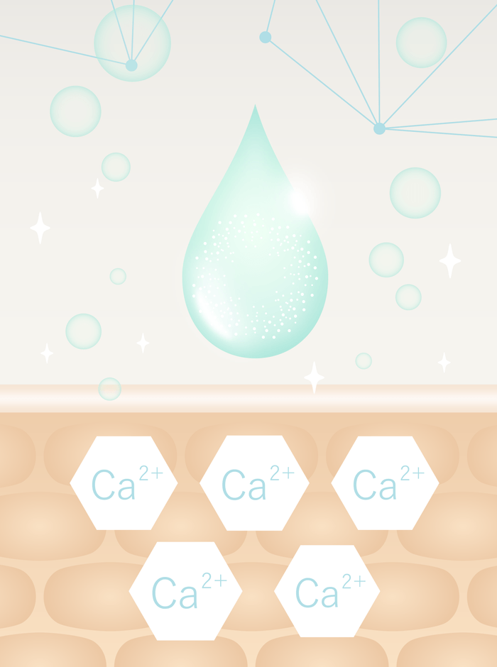 サインリアクト イメージ画像