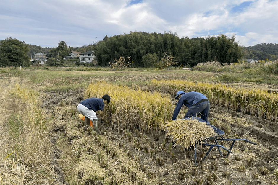 農業（1次産業）