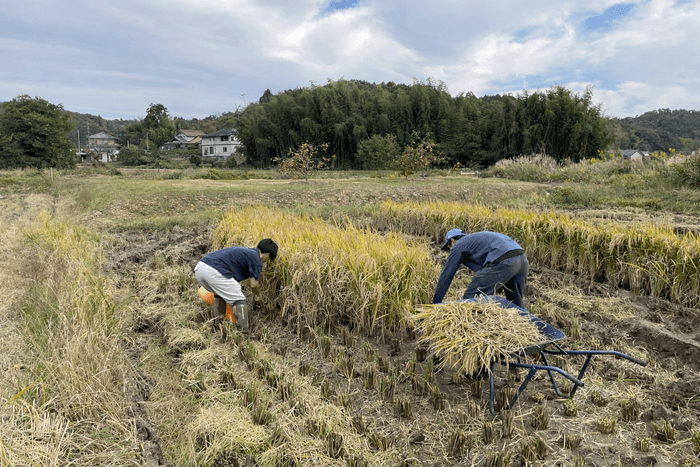 農業（1次産業）