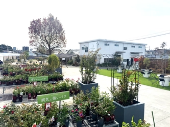 ～総合造園・園芸会社がプロデュースする体験展示スペース～  「京阪園芸ガーデナーズPARK(パーク)」 2025年10月24日（金）オープン！
