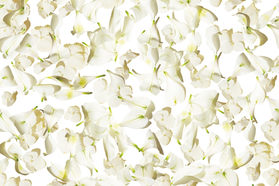 Anniversaryラッピング