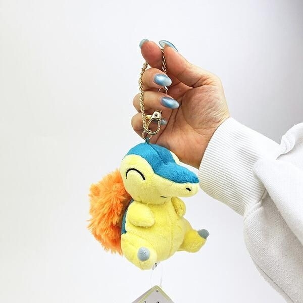 ポケモンのぬいぐるみ