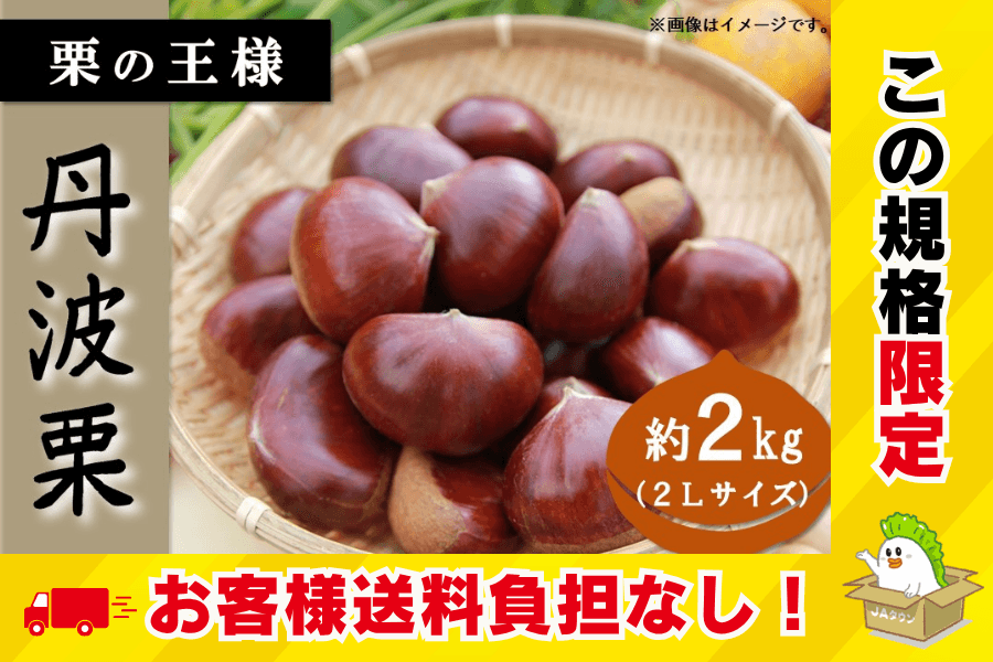 丹波栗_お客様送料負担なし(2L・2kg)